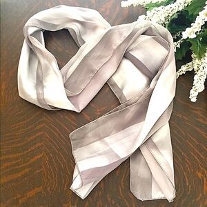 🧣2/$20 Shiny Silver & Gray Long Scarf🧣